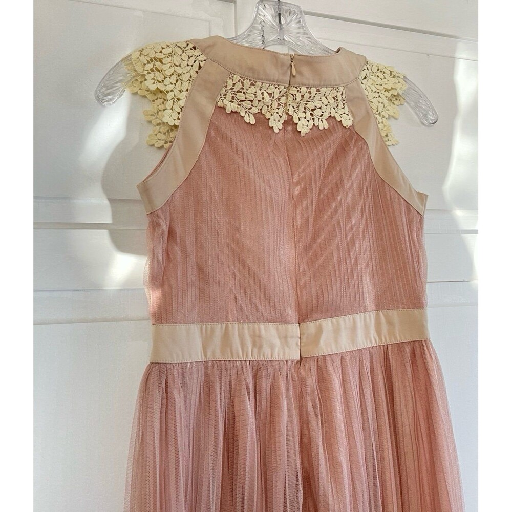 Blush Pink Pleated Tulle Sleeveless Fairycore Maxi Dress Size Small - Picture 5 of 6